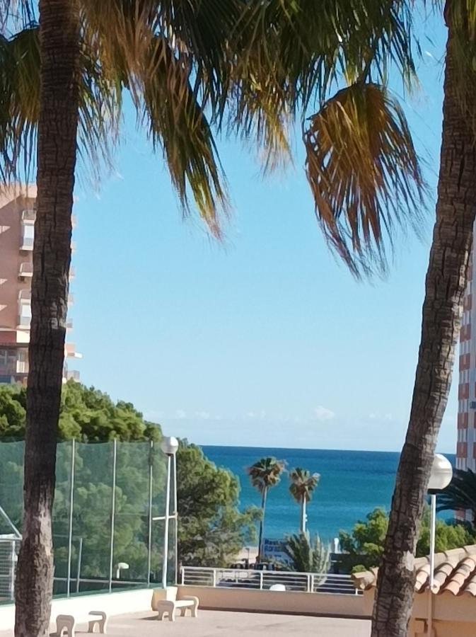 Almar Collection Cullera Bahia Park Daire Dış mekan fotoğraf